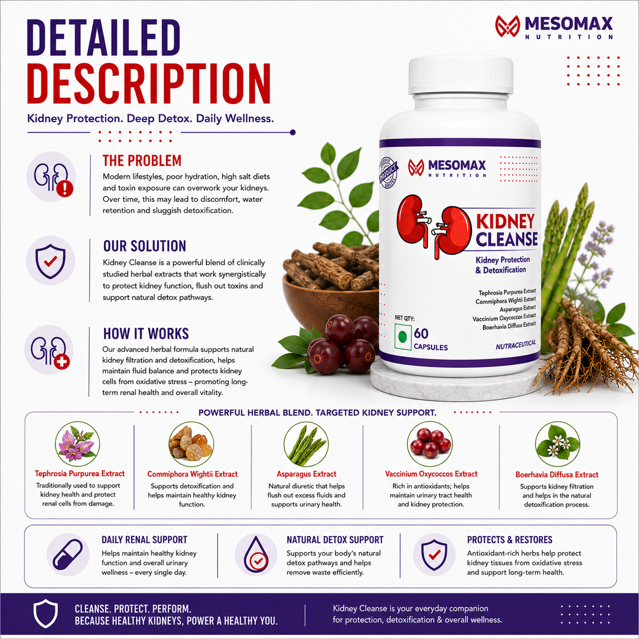 Mesomax Kidney Cleanse | Protection & Detoxification | Premium Sports Nutrition